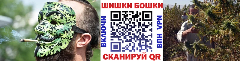 Бошки Шишки Городище
