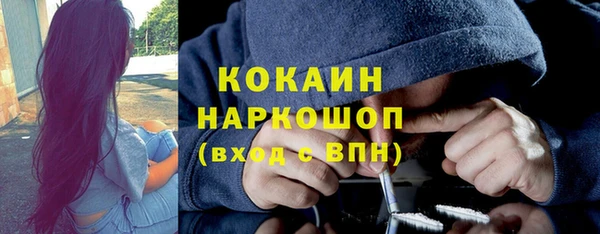 МДПВ Лагань
